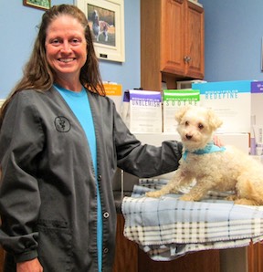 Our Staff | Warrenton Animal Clinic
